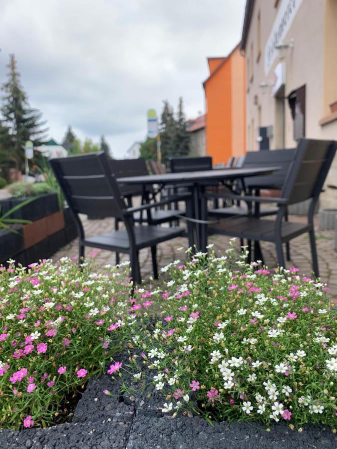 Divino Pension Zorbau Lejlighed Lützen Eksteriør billede